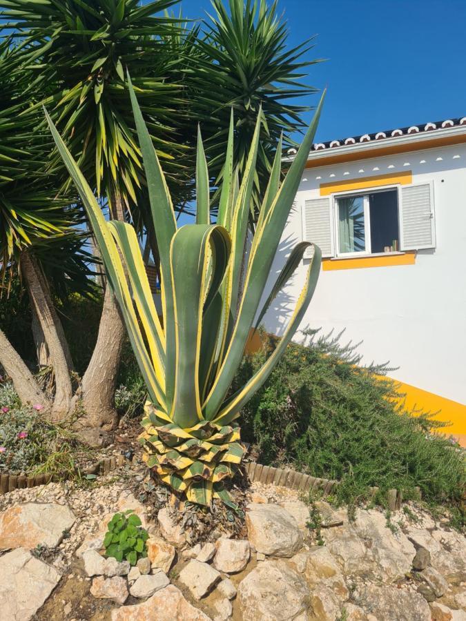 Casa Ensolarada B&B And Pottery Aljezur Exteriér fotografie